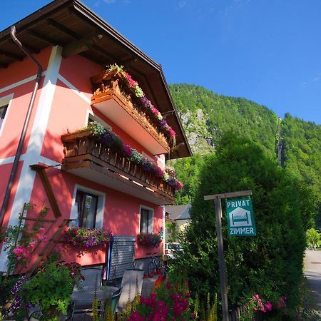 Haus Hoell Herta Hallstatt Extérieur photo